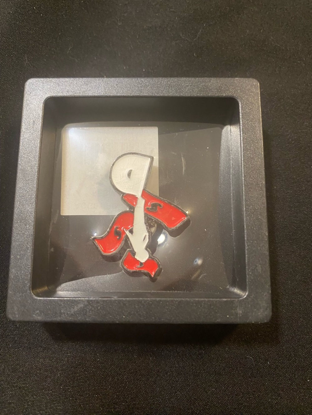 ⭐️Collectors Pin